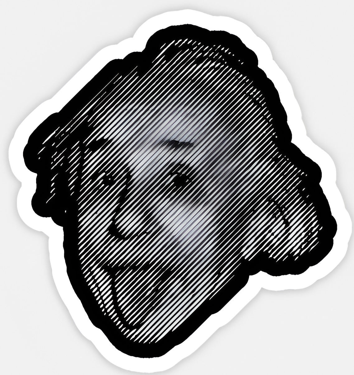 Albert Einstein Sticker